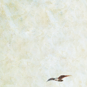 国产灬性灬淫…乱…视频…
